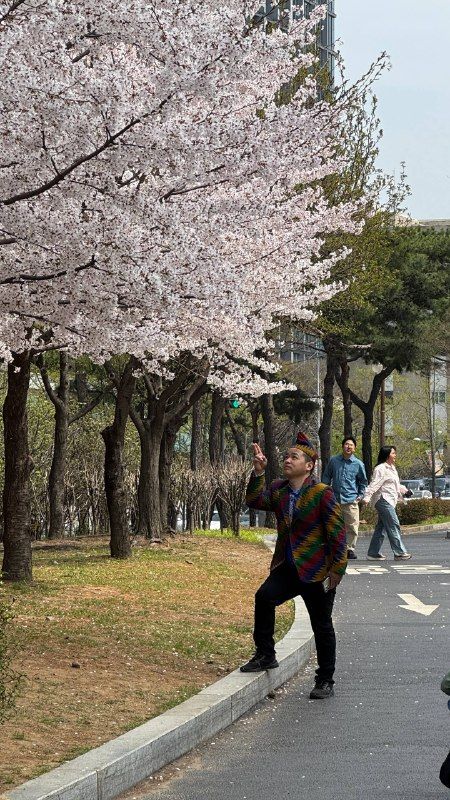 A man posing for a photo on a blossom-lined road