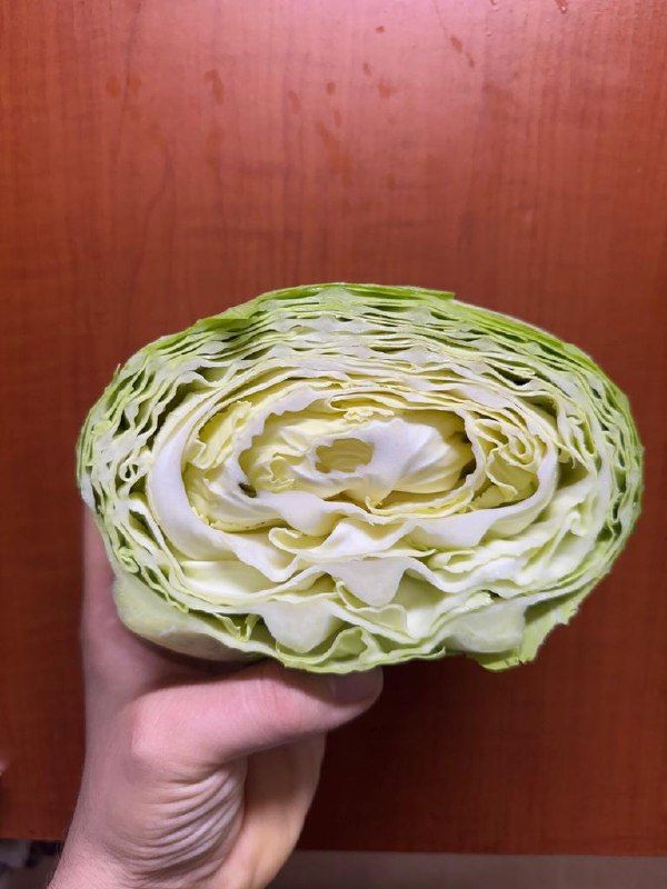 A hand holding half a cabbage against a red wall