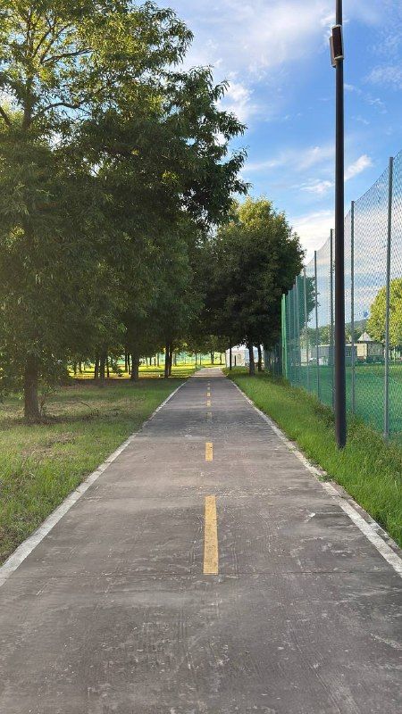 A straight cycle path with a yellow centre line between green trees