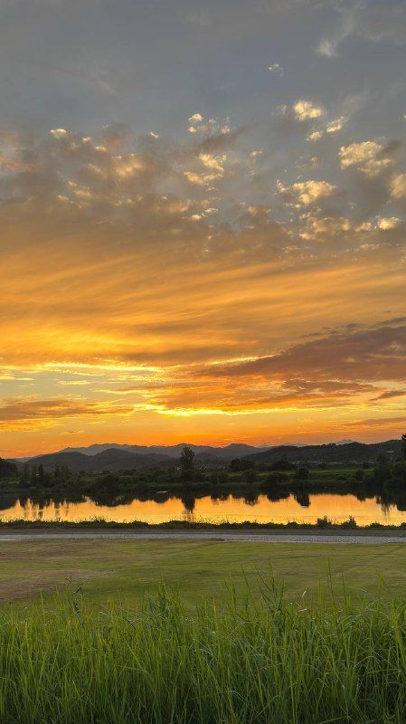 A low sun flaring gold across rice fields and dark mountains