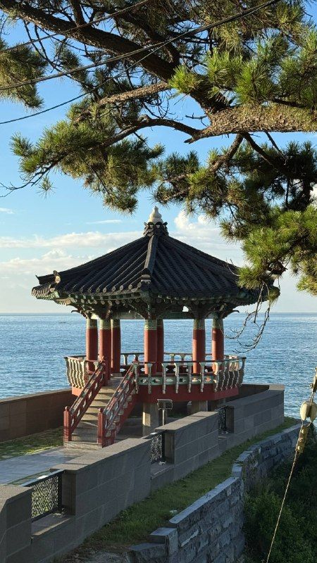A red-pillared pavilion on a rocky shore under pine branches, the sea beyond