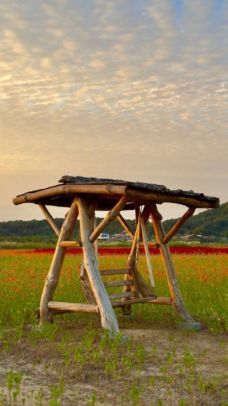 A wooden swing frame in a flower field under a dappled evening sky