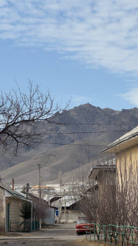 Bare winter trees and a quiet street beneath snowy mountains