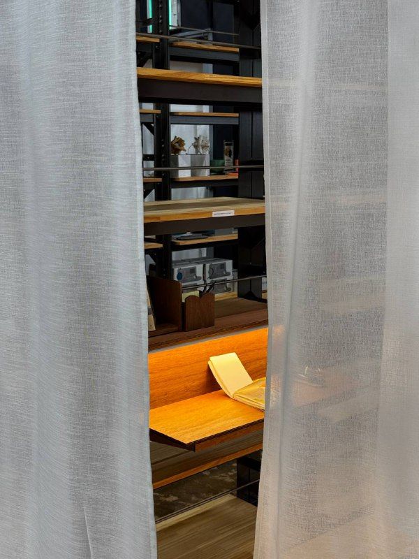 Sheer white curtains parted on a warm-lit room of shelves