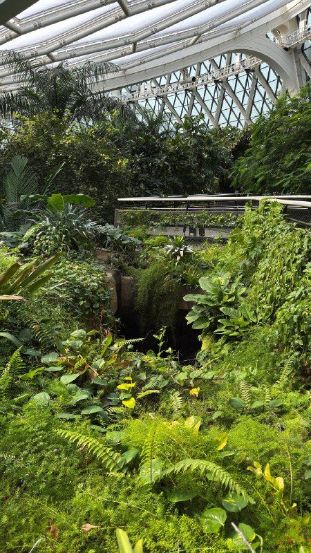Dense greenery inside a glass botanical dome