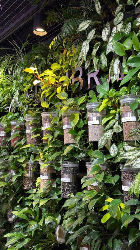 A green living wall of potted plants
