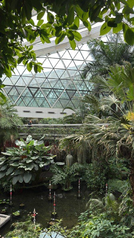 Tropical plants beneath the triangular glass panes of a greenhouse dome