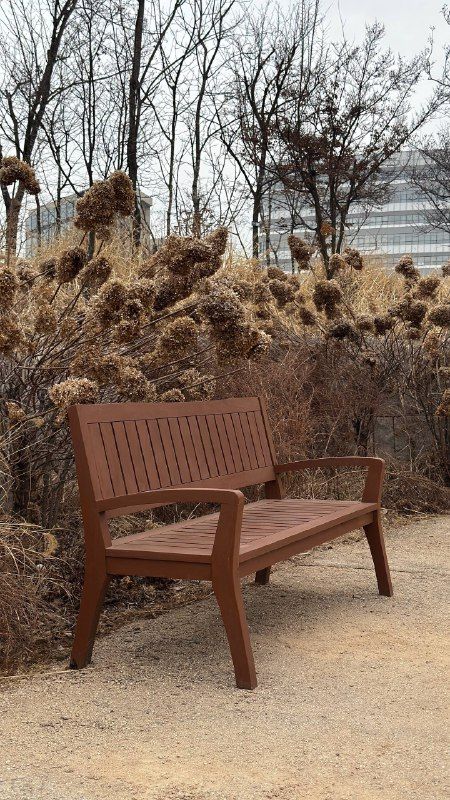 A wooden bench among dry winter grasses